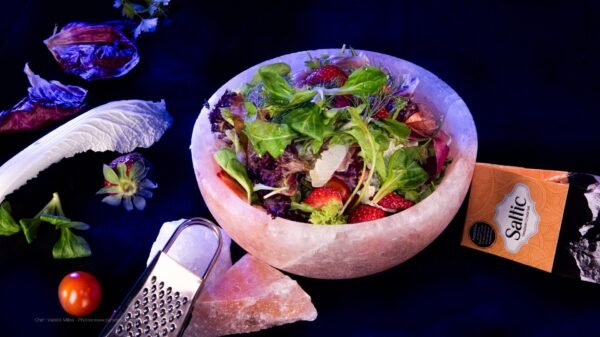 Bowl Saltic - Image 2